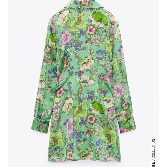 ZARA BLOGGERS FAV SATIN EFFECT PRINT DRESS ~ green - Picture 6 of 10